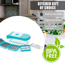 Ganesh 7 in 1 Plastic Vegetable Dicer, Blue